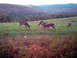 Sept_21 003.jpg